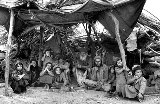 الجالية اليمنية تطالب إسرائيل  بالاعتراف باختطاف أولاد المهاجرين اليمنيين  صورة رقم 3