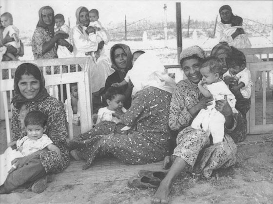 الجالية اليمنية تطالب إسرائيل  بالاعتراف باختطاف أولاد المهاجرين اليمنيين  صورة رقم 7