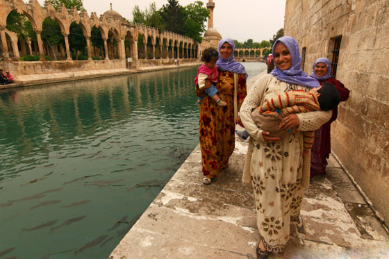 ثرى الشرق الاوسط يحتضن انبياء الله ابراهيم في الخليل وايوب بتركيا وزكريا في حلب صورة رقم 4