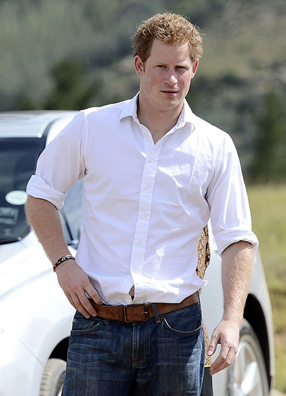 الامير هاري يصف حياة الملوكية بحوض اسماك وموت امه اثر في نفسه صورة رقم 15