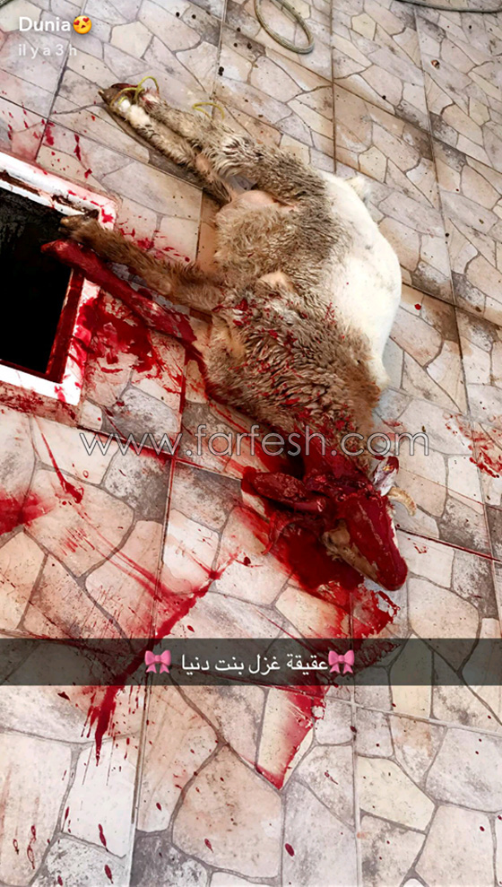 صور: دنيا بطمة تحتفل بعقيقة إبنتها غزل في البحرين صورة رقم 2