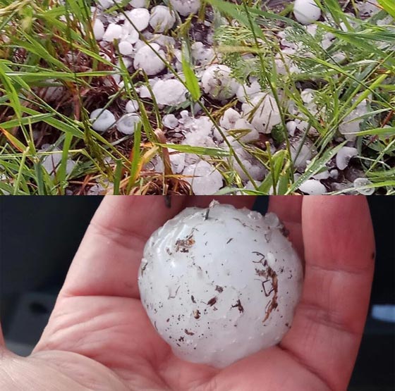 كرات ثلجية بحجم البيض تحطم النوافذ والاسقف في سيبيريا.. فيديو صورة رقم 3