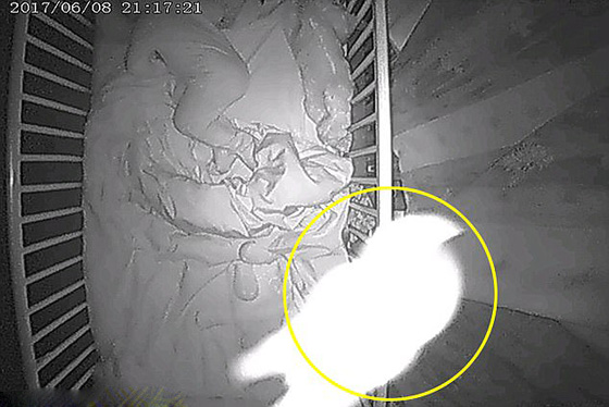  صور مرعبة: كاميرا مراقبة تلتقط صور شبح بشارك طفلا في سريره! صورة رقم 3