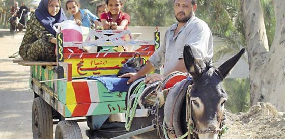 فيديو عروس مصرية تنقل فرشها على عربة كارو بسبب غلاء الوقود وتثير الجدل صورة رقم 1