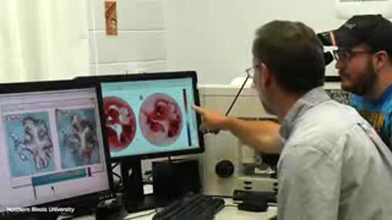 خبراء المناخ: العالم يسير باتجاه كارثة تقشعر لها الابدان عام 2020 صورة رقم 3