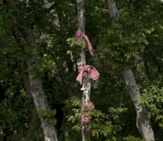 امهات دون سن السادسة عشرة.. زواج الطفلات شائع في جورجيا صورة رقم 13