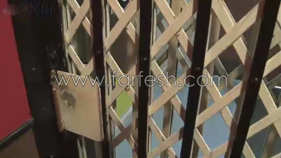 سابقة نادرة.. صحفية امريكية تدخل اخطر المقرات العسكرية في العالم صورة رقم 12