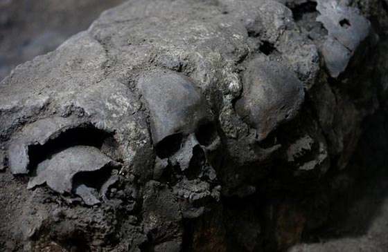 العثور على برج من الجماجم البشرية في المكسيك يحير العلماء صورة رقم 10