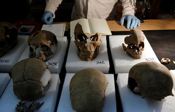 العثور على برج من الجماجم البشرية في المكسيك يحير العلماء صورة رقم 13