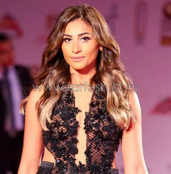 عمرو دياب يسافر الى اسبانيا بطائرة خاصة مع دينا الشربيني! صورة رقم 5