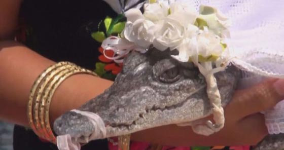 عمدة مدينة مكسيكية يعقد قرانه على تمساح.. ما غايته؟! فيديو صورة رقم 5