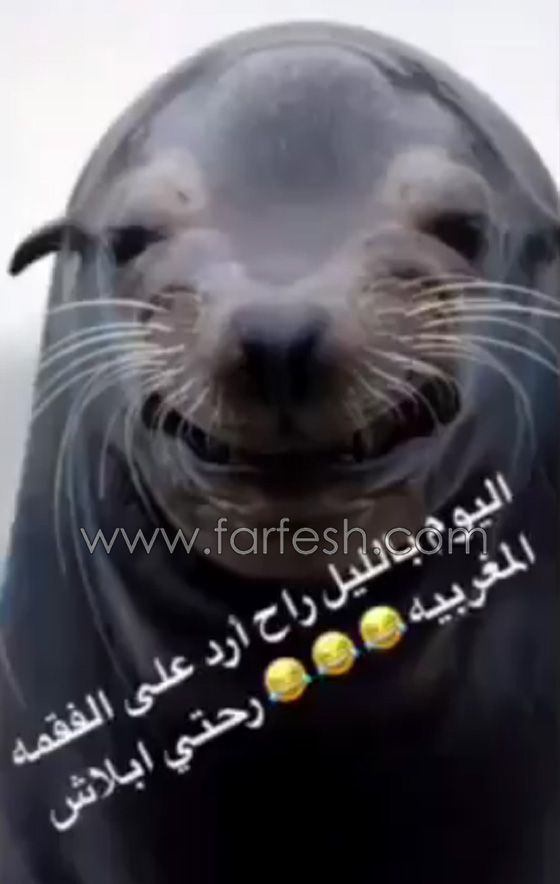 الاعلامية مي العيدان ترد على هجوم دنيا بطمة عليها وستلجأ للقضاء صورة رقم 2