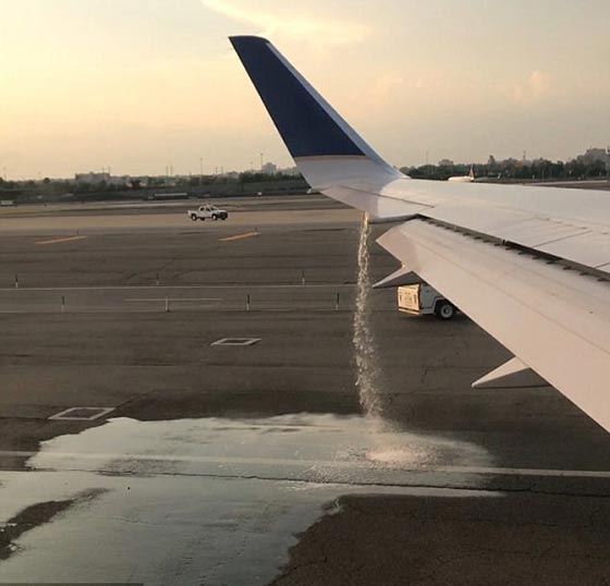 عروس ذكية تنقذ حياة 170 مسافرا على متن طائرة امريكية صورة رقم 2