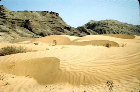 اعلى درجات حرارة سجلها العالم.. اغلبها في دول عربية! صورة رقم 9