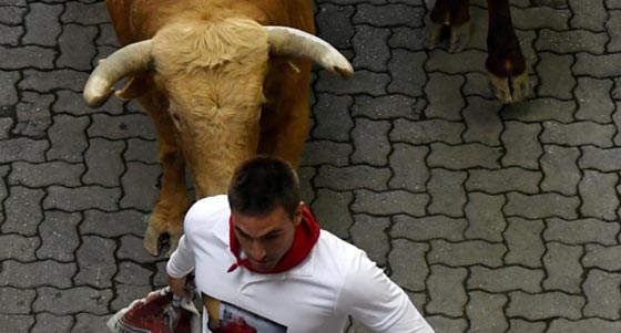 إسبانيا: إصابة شخصين بالمهرجان السنوي للثيران .. فيديو وصور صورة رقم 2