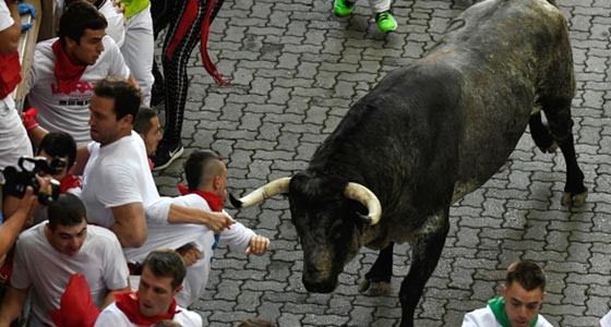 إسبانيا: إصابة شخصين بالمهرجان السنوي للثيران .. فيديو وصور صورة رقم 4