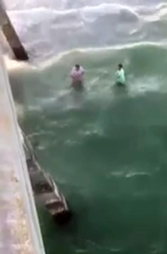 فيديو مروع.. داعب سمكة قرش من ذيلها فقضمت يده! صورة رقم 1