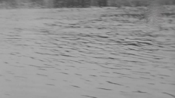  فيديو نادر:هكذا كان يعيش اهل هيروشيما قبل تفجيرها بقنبلة ذرية صورة رقم 5