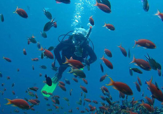 سيدة توثق سقوط زوجها ومصرعه في فيديو صادم صورة رقم 9