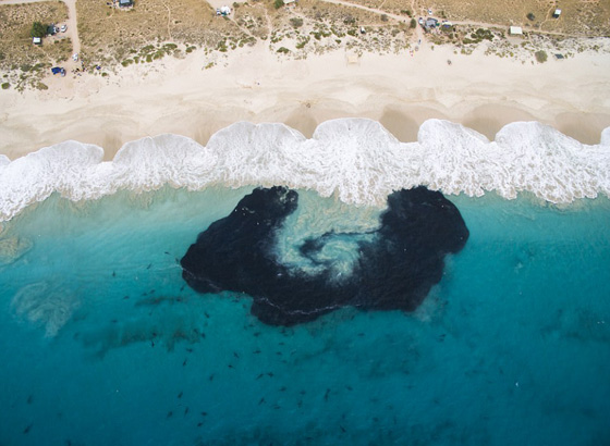 فيديو  مرعب! 400 سمكة قرش ضخمة تلاحق أطفال يسبحون على الشاطئ! صورة رقم 2