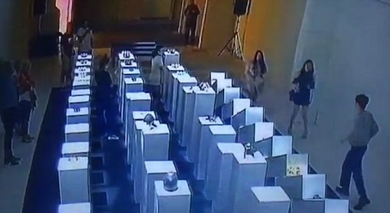 صورة سيلفي تدمر اعمالا فنية بقيمة 200 الف دولار.. فيديو صورة رقم 4