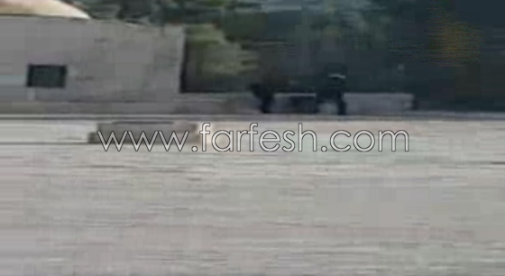 مقتل شرطيين اسرائيليين و3 فلسطينيين من الداخل في اشتباك بباحة الاقصى صورة رقم 10