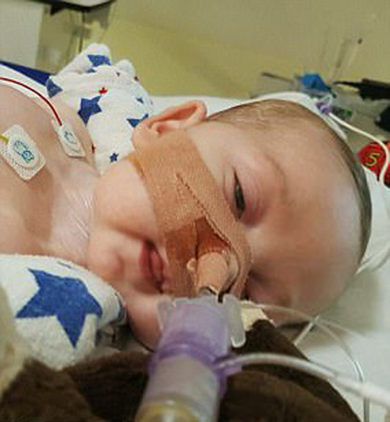 طفل يهز العالم.. المحكمة قضت بقتله امام والديه وترامب والبابا يتدخلان صورة رقم 7