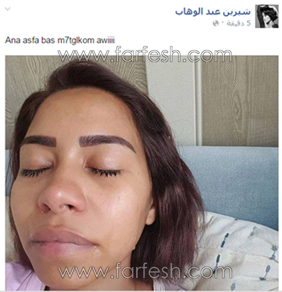 10 فنانين حذفوا صورهم منهم الاسطورة، انغام، الزعيم وشيرين صورة رقم 2