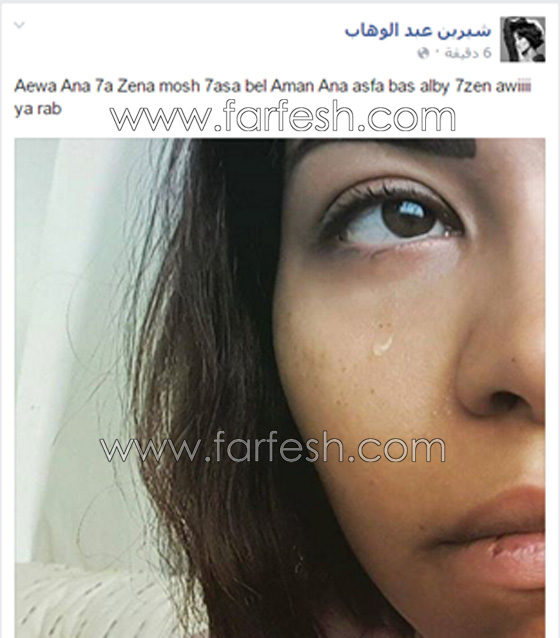 10 فنانين حذفوا صورهم منهم الاسطورة، انغام، الزعيم وشيرين صورة رقم 3