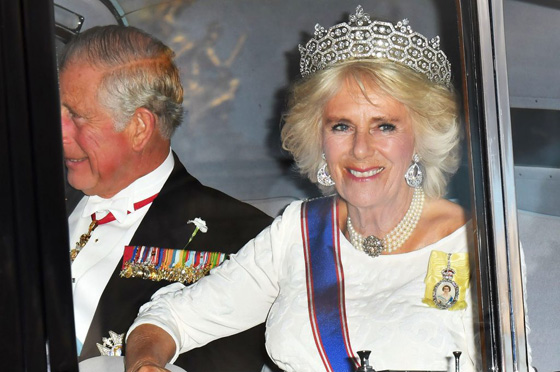 صور وفيديو: اجمل اطلالة للاميرة كيت ميدلتون صورة رقم 15