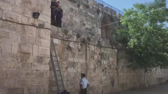 بوابات إلكترونية وكاميرات للمراقبة على مداخل المسجد الأقصى  صورة رقم 4