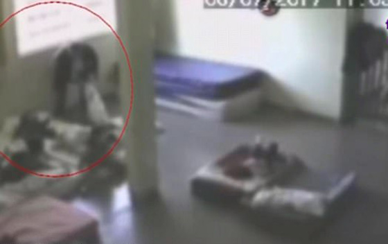 فيديو صادم (+18) اعتداءات مشينة وانتهاك جسدي لاطفال في الحضانة! صورة رقم 5