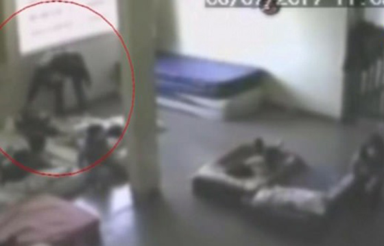 فيديو صادم (+18) اعتداءات مشينة وانتهاك جسدي لاطفال في الحضانة! صورة رقم 8