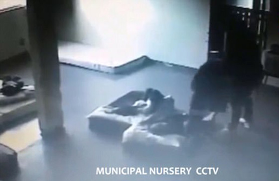 فيديو صادم (+18) اعتداءات مشينة وانتهاك جسدي لاطفال في الحضانة! صورة رقم 3