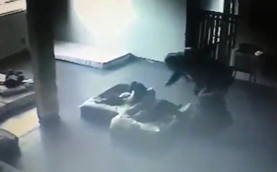 فيديو صادم (+18) اعتداءات مشينة وانتهاك جسدي لاطفال في الحضانة! صورة رقم 7