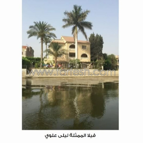 صور فيلات ومزارع اشهر الفنانين في مصر بينهم الزعيم وليلى علوي صورة رقم 1