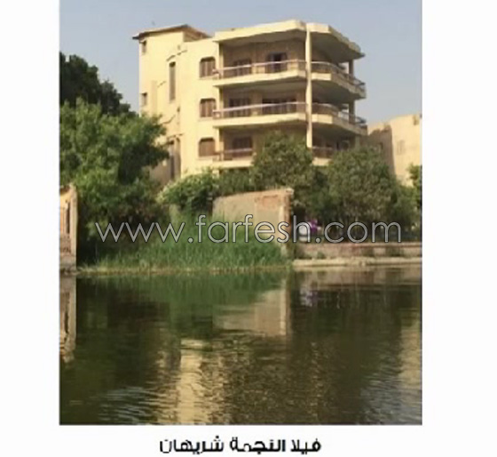 صور فيلات ومزارع اشهر الفنانين في مصر بينهم الزعيم وليلى علوي صورة رقم 7