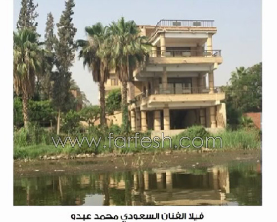صور فيلات ومزارع اشهر الفنانين في مصر بينهم الزعيم وليلى علوي صورة رقم 8