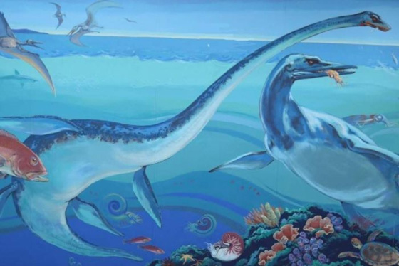 اكتشاف هيكل عظمي عملاق في صحراء تدمر.. فيديو صورة رقم 10