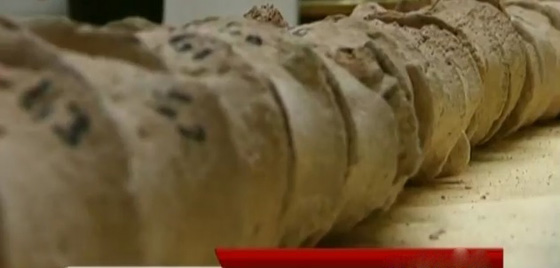 اكتشاف هيكل عظمي عملاق في صحراء تدمر.. فيديو صورة رقم 4