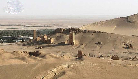 اكتشاف هيكل عظمي عملاق في صحراء تدمر.. فيديو صورة رقم 6