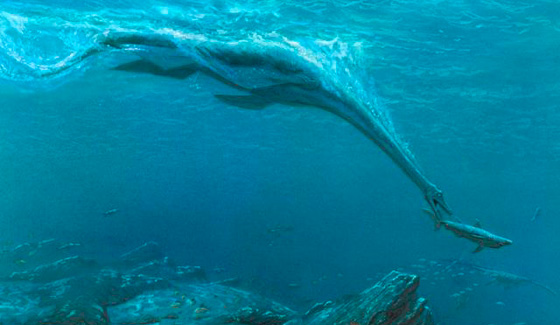 اكتشاف هيكل عظمي عملاق في صحراء تدمر.. فيديو صورة رقم 9