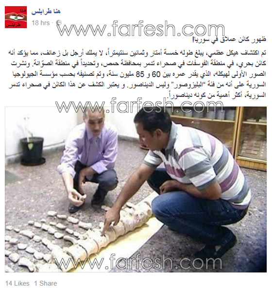 اكتشاف هيكل عظمي عملاق في صحراء تدمر.. فيديو صورة رقم 1