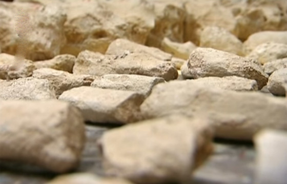 اكتشاف هيكل عظمي عملاق في صحراء تدمر.. فيديو صورة رقم 5