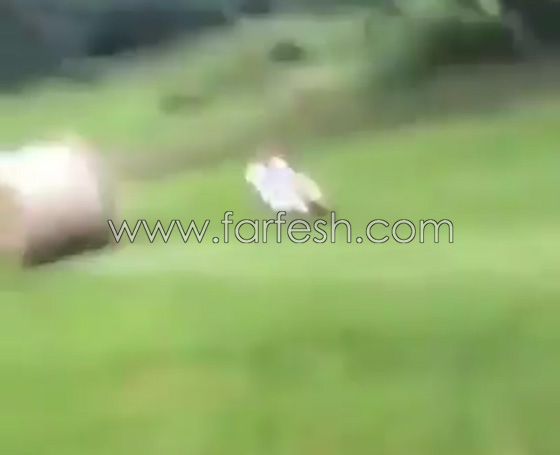 بالفيديو.. سقطة مروعة لشاب أثناء محاولته لاستعراض مهاراته صورة رقم 5