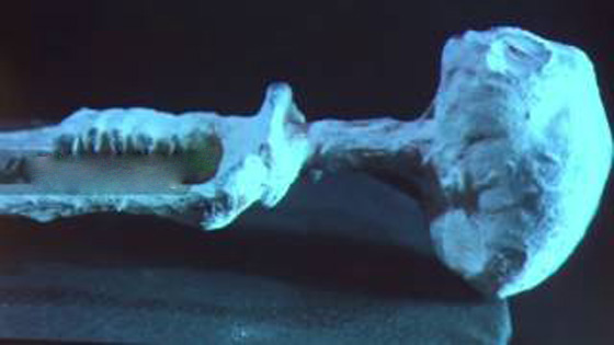 خبير مكسيكي يعرض ادلة تثبت ان الكائنات الفضائية كانت تعيش بيننا!! صورة رقم 4