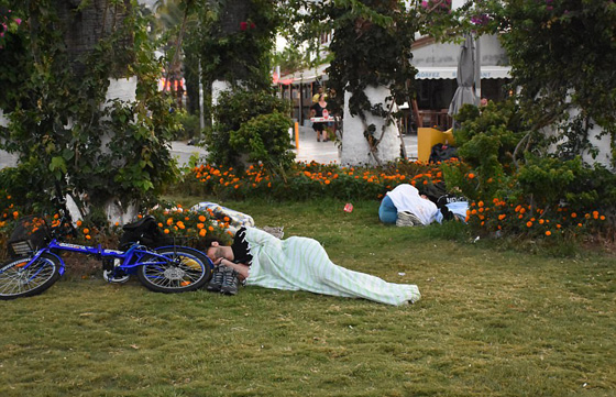 شاهد حالة الذعر وخروج الناس الى شوارع تركيا لحظة وقوع زلزال صورة رقم 23