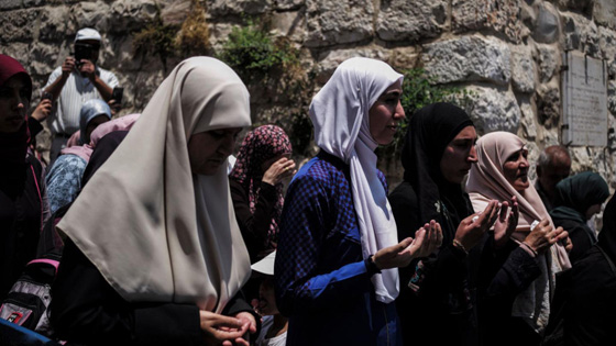 جامعة الدول العربية: القدس خط أحمر وإسرائيل تلعب بالنار!! فيديو صورة رقم 9