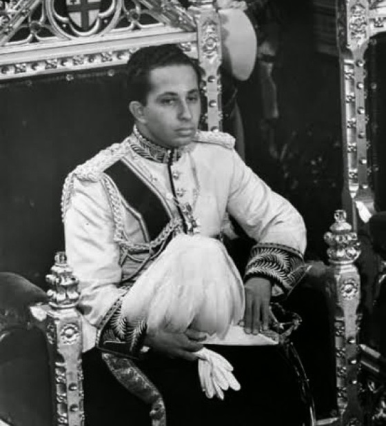 6 ملوك حاول جمال عبد الناصر إنهاء حكمهم صورة رقم 4