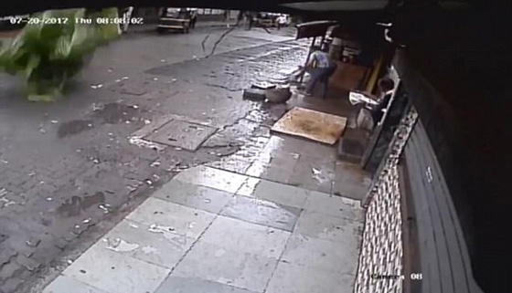 فيديو صادم يهز المشاعر.. مقتل مذيعة شهيرة بعد سقوط نخلة عملاقة عليها! صورة رقم 4